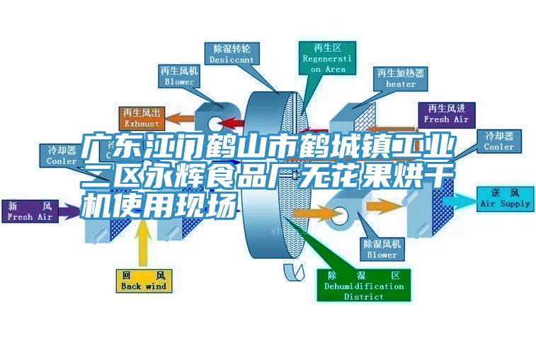 廣東江門(mén)鶴山市鶴城鎮(zhèn)工業(yè)二區(qū)永輝食品廠(chǎng)無(wú)花果烘干機(jī)使用現(xiàn)場(chǎng)