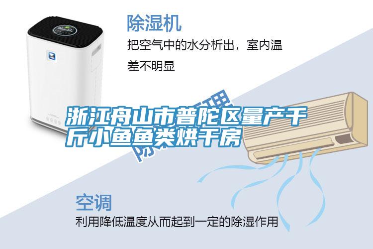 浙江舟山市普陀區(qū)量產(chǎn)千斤小魚(yú)魚(yú)類烘干房