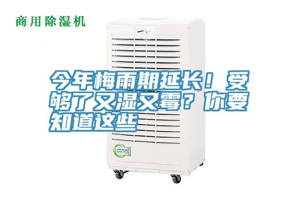 今年梅雨期延長(zhǎng)！受夠了又濕又霉？你要知道這些