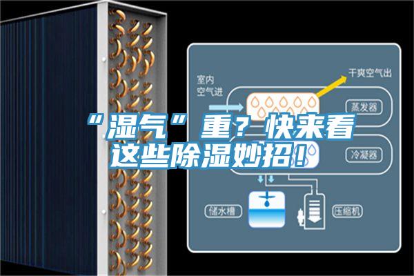 “濕氣”重？快來看這些除濕妙招！