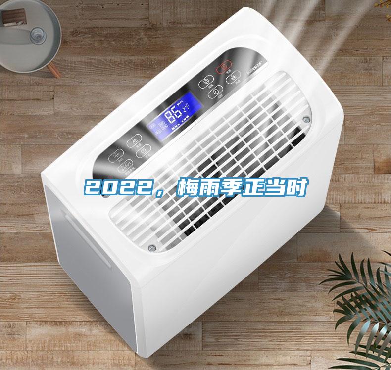 2022，梅雨季正當(dāng)時