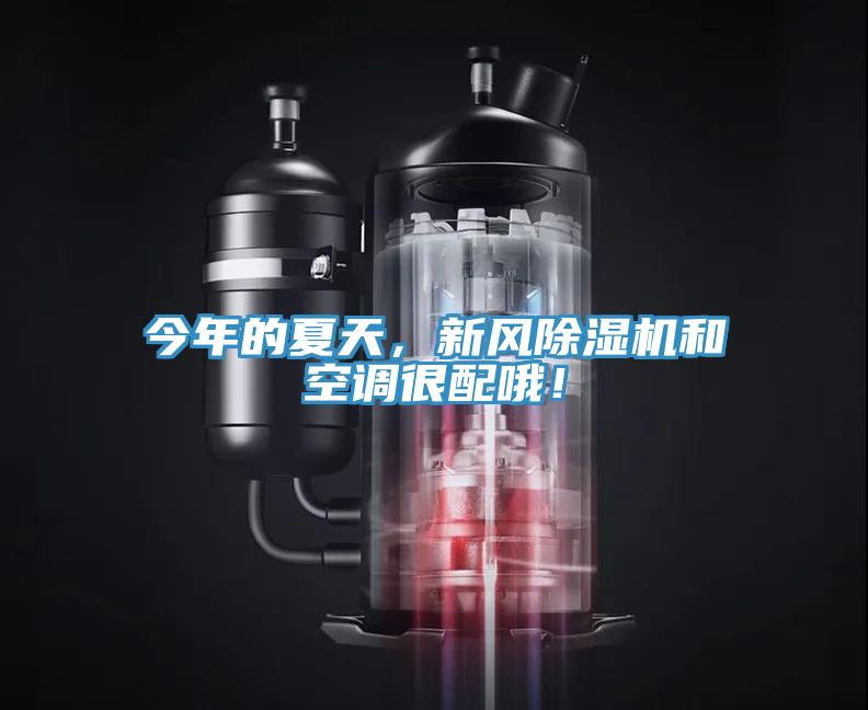 今年的夏天，新風(fēng)除濕機(jī)和空調(diào)很配哦！