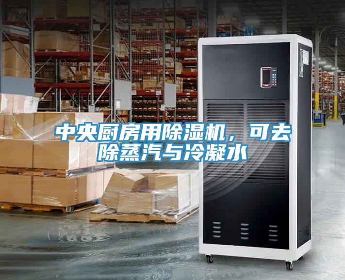 中央廚房用除濕機(jī)，可去除蒸汽與冷凝水