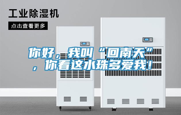 你好，我叫“回南天”，你看這水珠多愛(ài)我！