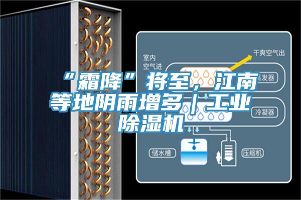 “霜降”將至，江南等地陰雨增多｜工業(yè)除濕機