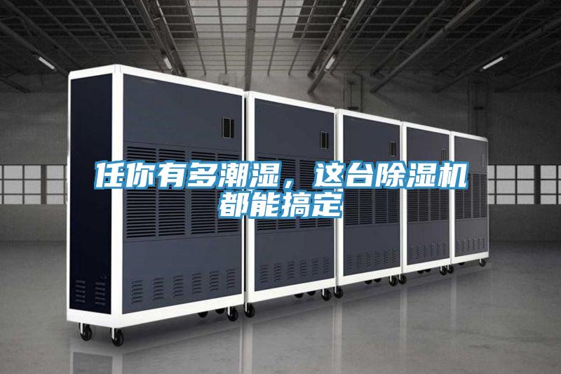 任你有多潮濕，這臺除濕機(jī)都能搞定