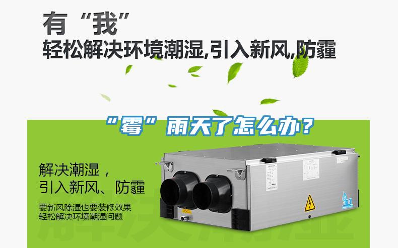 “霉”雨天了怎么辦？