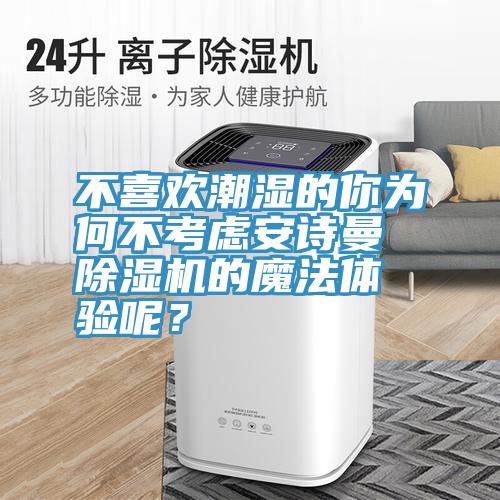 不喜歡潮濕的你為何不考慮安詩曼除濕機的魔法體驗呢？