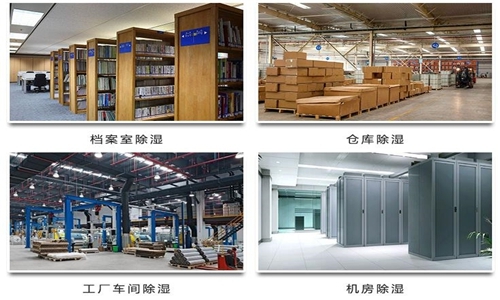 為什么竹筍烘干房需要除濕機？