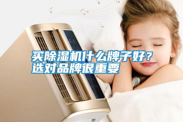 買除濕機(jī)什么牌子好？選對品牌很重要