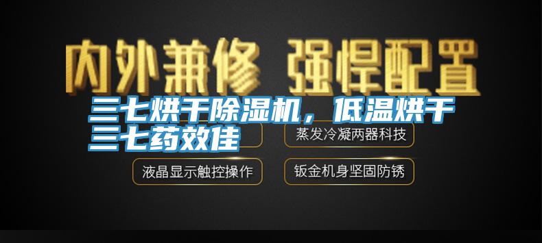 三七烘干除濕機，低溫烘干三七藥效佳