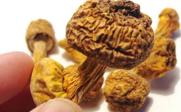 巴西菇、姬松茸烘干機(jī)-怎樣烘干色澤好且菇體褶片完整？