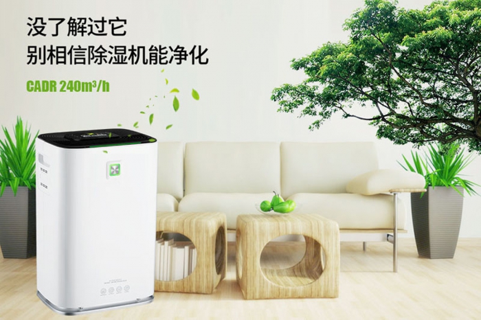 一到回南天狗狗就感冒+皮膚病，怎么辦？