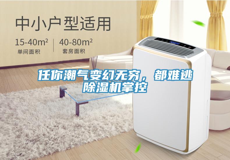任你潮氣變幻無窮，都難逃除濕機(jī)掌控