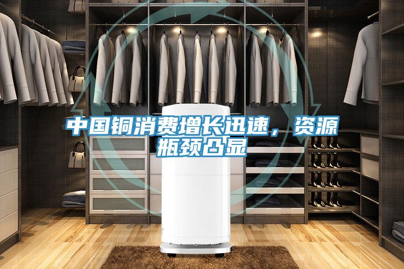 中國銅消費增長迅速，資源瓶頸凸顯