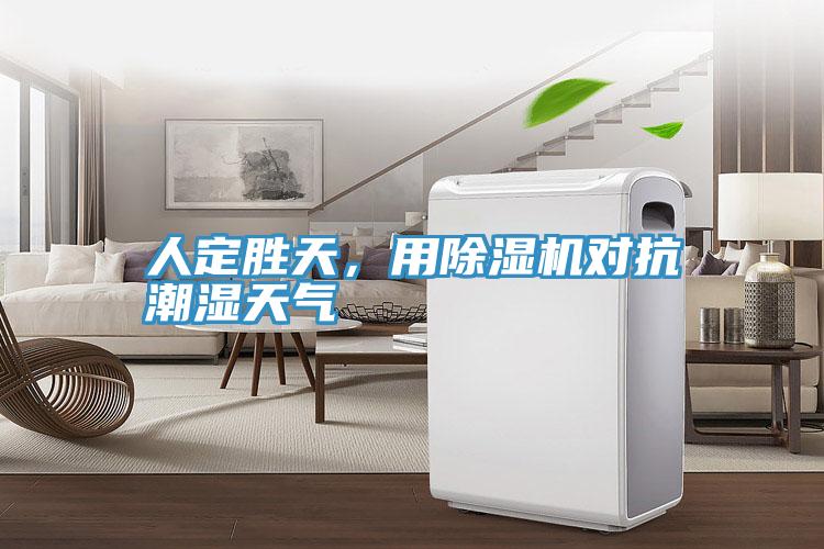 人定勝天，用除濕機(jī)對抗潮濕天氣