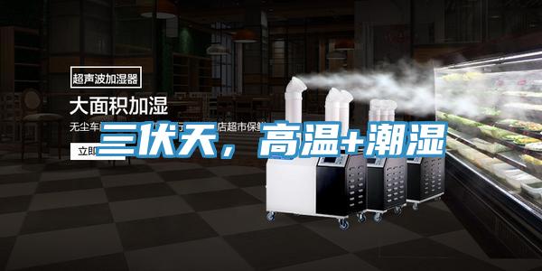 三伏天，高溫+潮濕