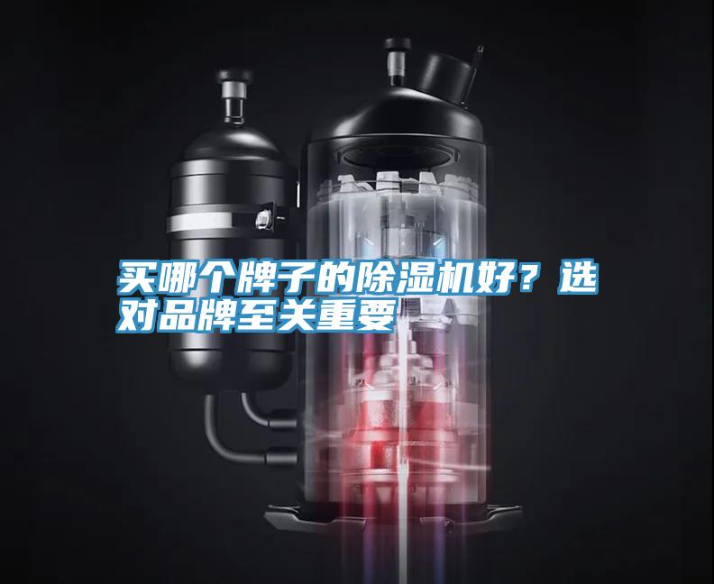買哪個(gè)牌子的除濕機(jī)好？選對(duì)品牌至關(guān)重要