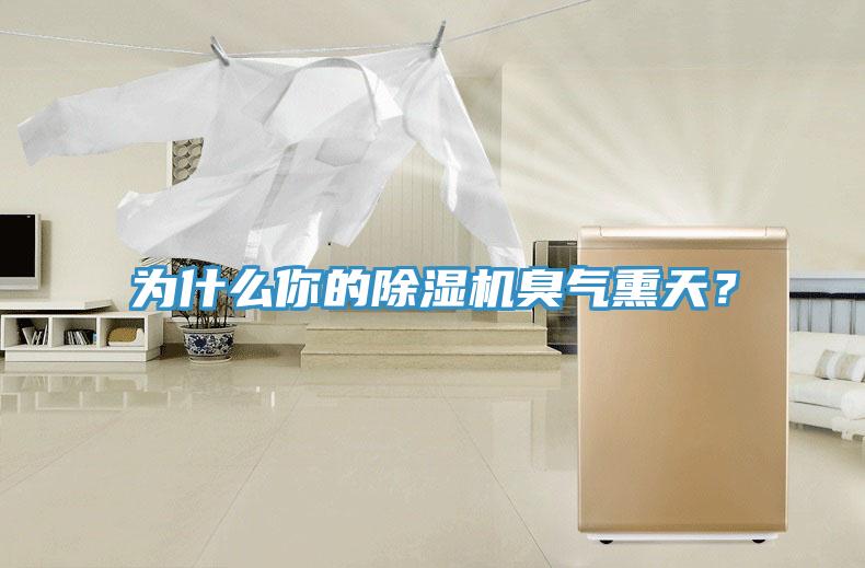 為什么你的除濕機(jī)臭氣熏天？