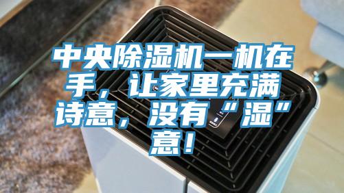 中央除濕機(jī)一機(jī)在手，讓家里充滿詩意，沒有“濕”意！