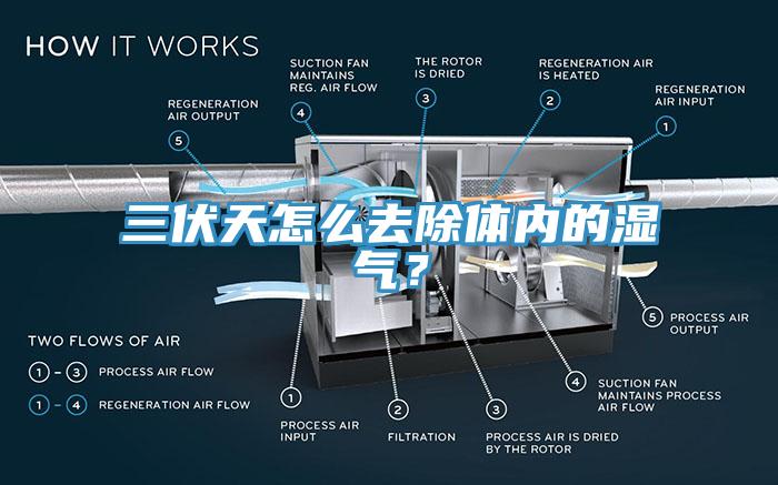 三伏天怎么去除體內(nèi)的濕氣？