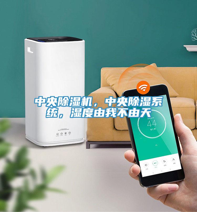 中央除濕機，中央除濕系統(tǒng)，濕度由我不由天