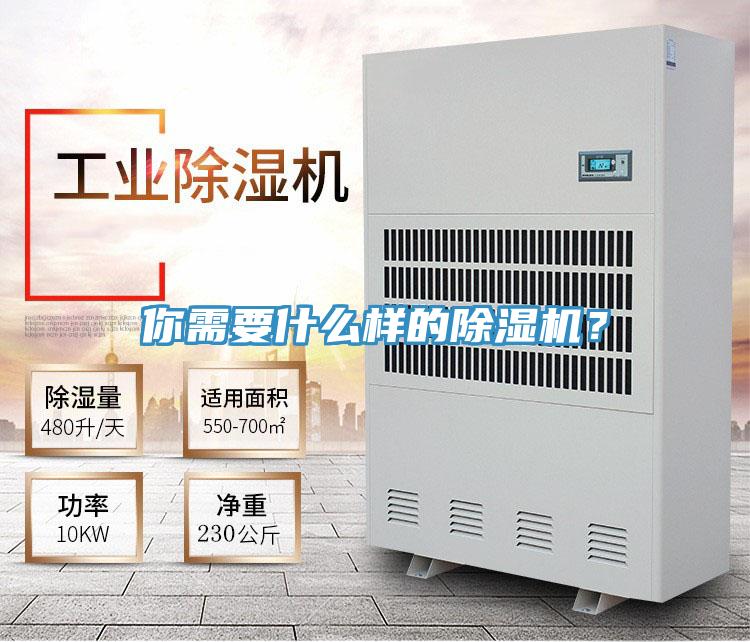 你需要什么樣的除濕機？