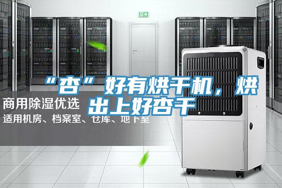“杏”好有烘干機，烘出上好杏干