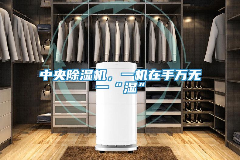 中央除濕機，一機在手萬無一“濕”