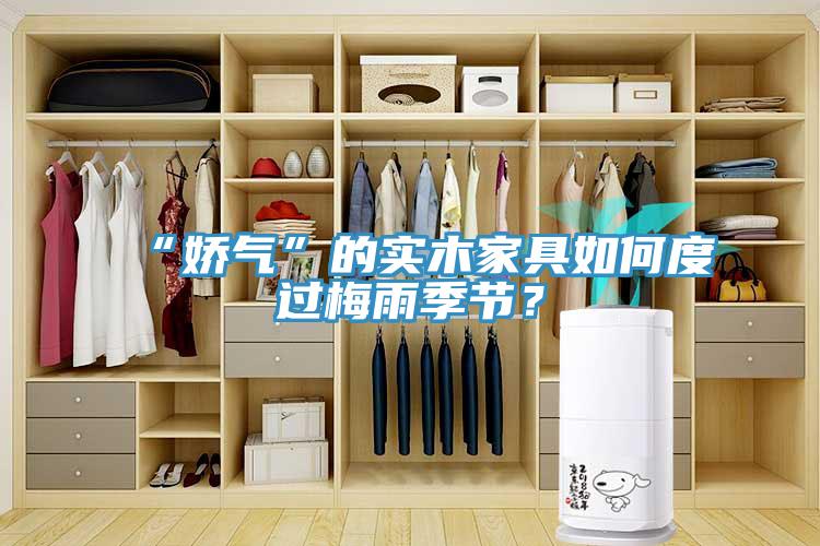 “嬌氣”的實木家具如何度過梅雨季節(jié)？