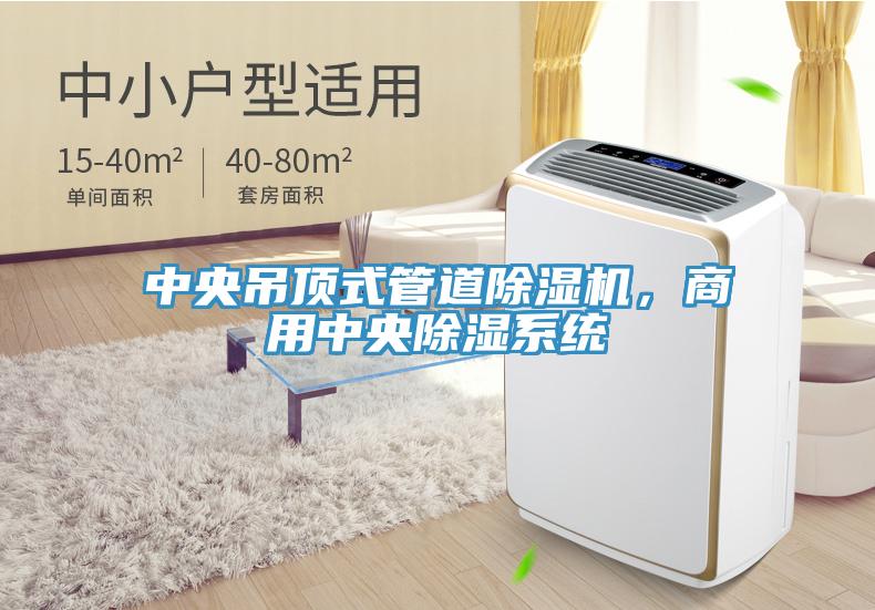 中央吊頂式管道除濕機(jī)，商用中央除濕系統(tǒng)