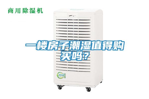 一樓房子潮濕值得購(gòu)買嗎？
