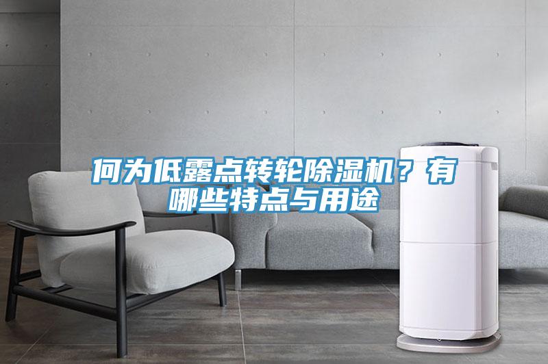何為低露點轉(zhuǎn)輪除濕機(jī)？有哪些特點與用途