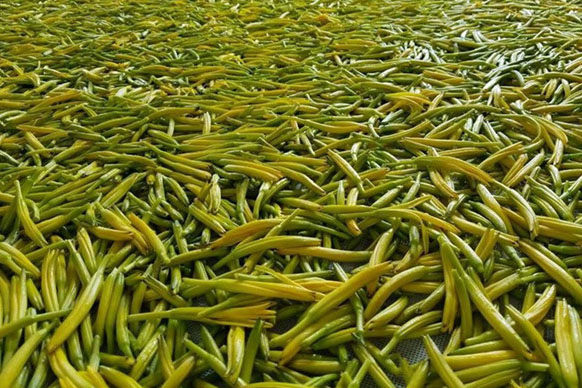 無硫金針菜烘干如何保持品相？不發(fā)黑？_除濕機廠家