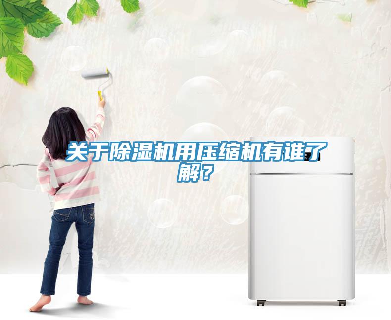 關(guān)于除濕機(jī)用壓縮機(jī)有誰了解？