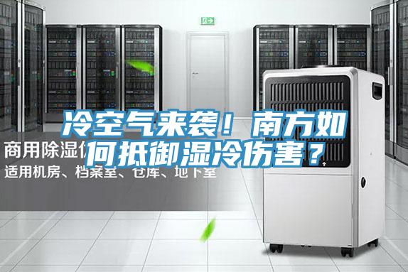 冷空氣來襲！南方如何抵御濕冷傷害？
