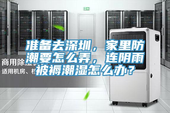 準(zhǔn)備去深圳，家里防潮要怎么弄，連陰雨被褥潮濕怎么辦？