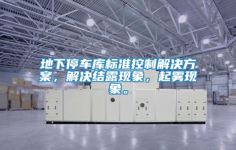 地下停車(chē)庫(kù)標(biāo)準(zhǔn)控制解決方案，解決結(jié)露現(xiàn)象，起霧現(xiàn)象。
