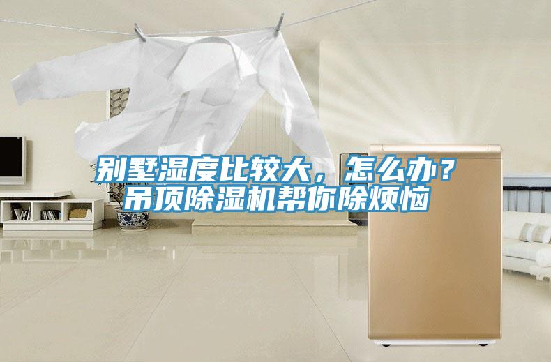 別墅濕度比較大，怎么辦？吊頂除濕機幫你除煩惱