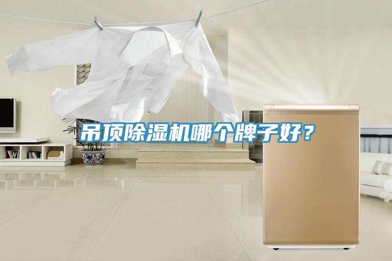 吊頂除濕機哪個牌子好？