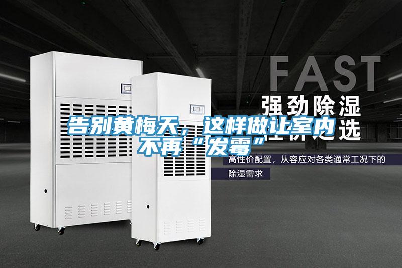 告別黃梅天，這樣做讓室內(nèi)不再“發(fā)霉”