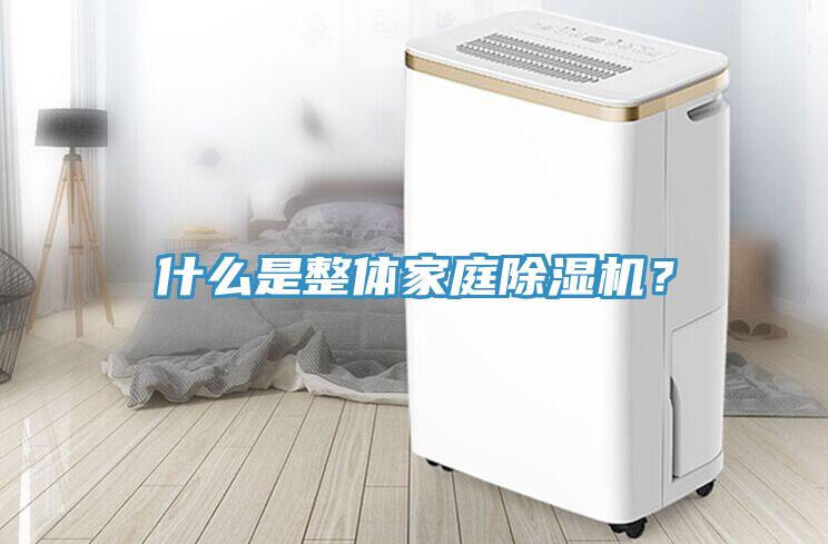 什么是整體家庭除濕機(jī)？