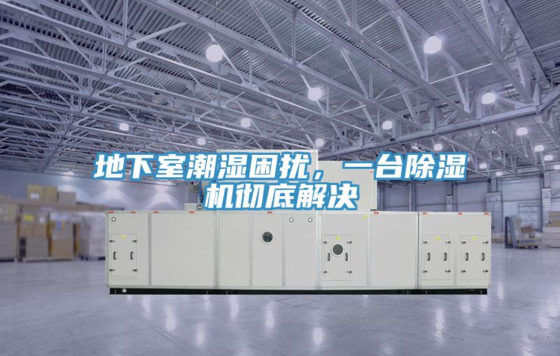 地下室潮濕困擾，一臺(tái)除濕機(jī)徹底解決