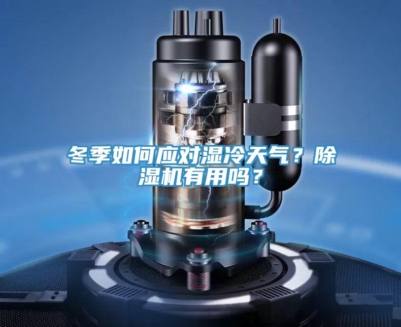 冬季如何應(yīng)對濕冷天氣？除濕機有用嗎？