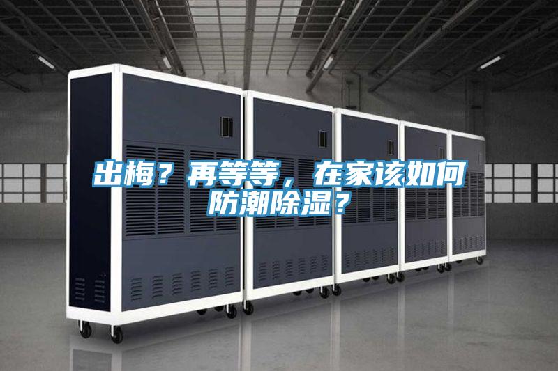出梅？再等等，在家該如何防潮除濕？