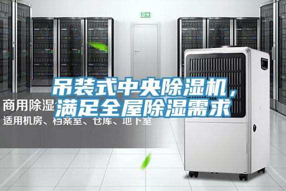 吊裝式中央除濕機(jī)，滿足全屋除濕需求