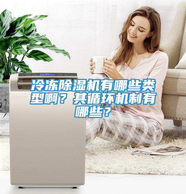 冷凍除濕機有哪些類型??？其循環(huán)機制有哪些？