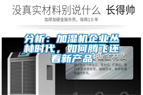 分析：加濕機(jī)企業(yè)叢林時(shí)代，如何騰飛還看新產(chǎn)品