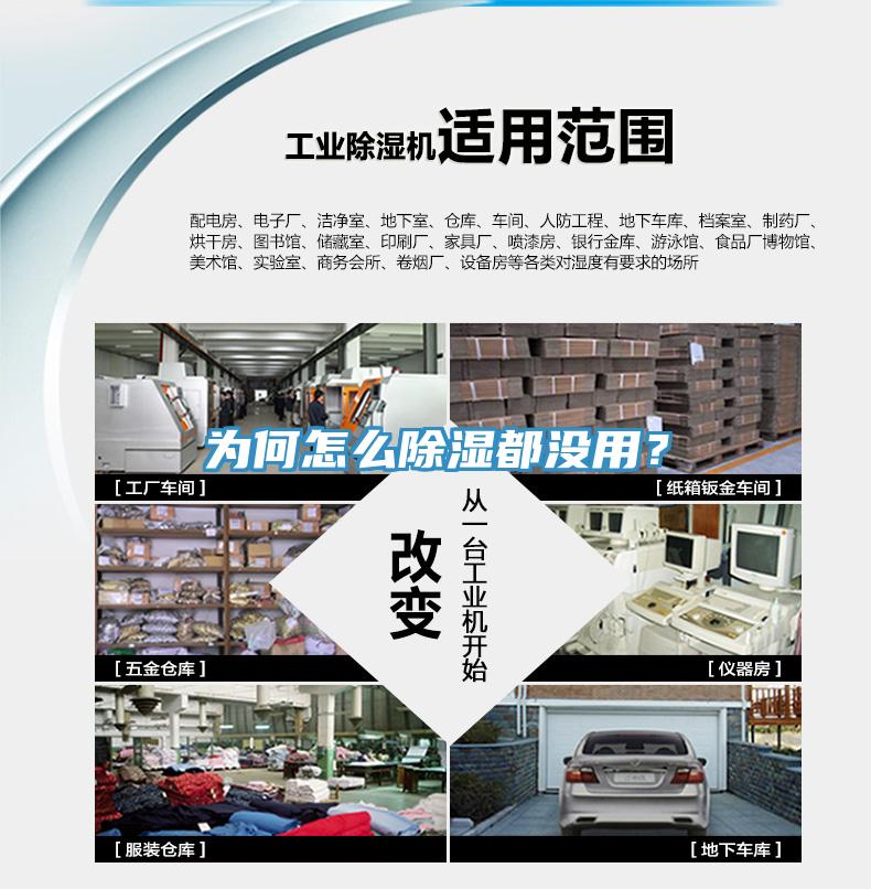 為何怎么除濕都沒用？