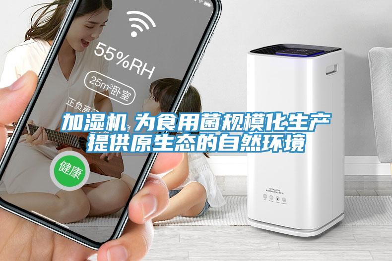 加濕機(jī)　為食用菌規(guī)?；a(chǎn)提供原生態(tài)的自然環(huán)境